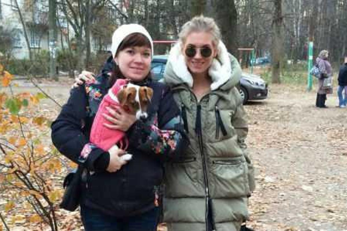 Кристина Асмус подарила беременной сестре ушастую "дочку"