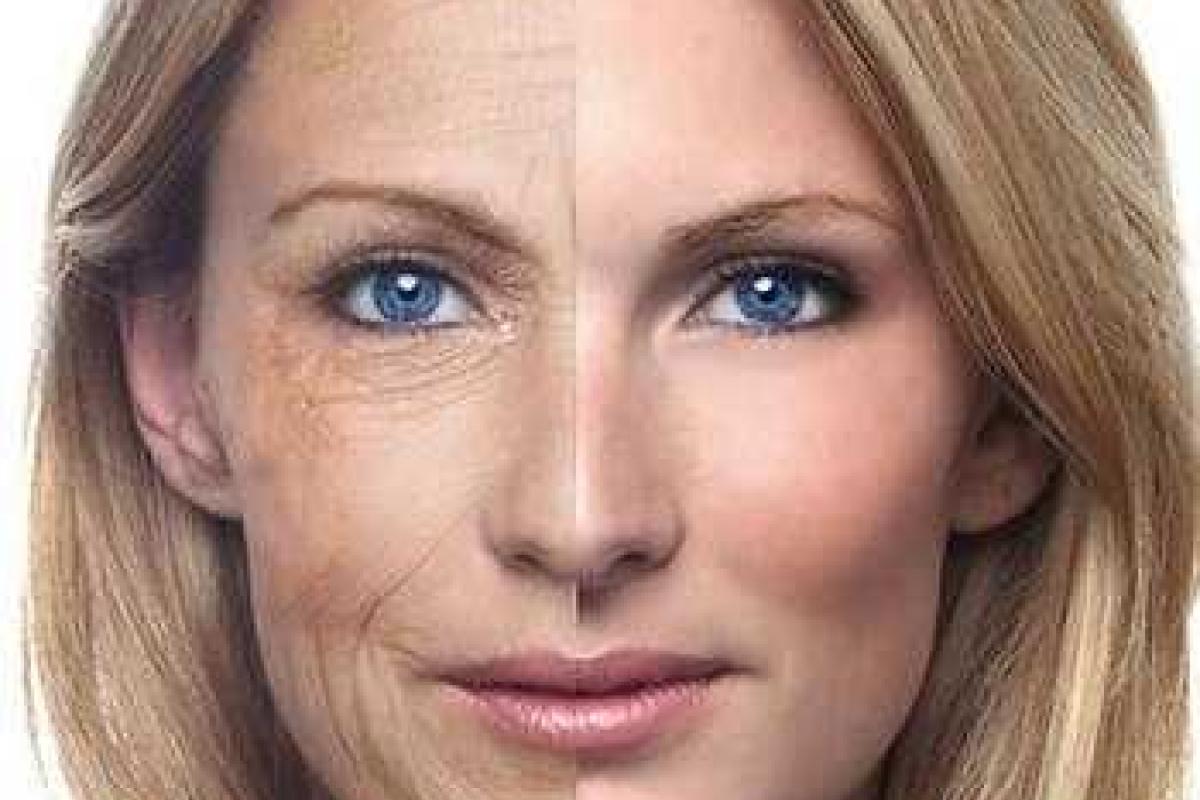 Ученым удалось остановить старость у мышей