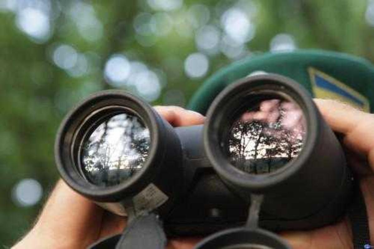 С начала года сотрудниками Госпогранслужбы задержано более 700 незаконных мигрантов