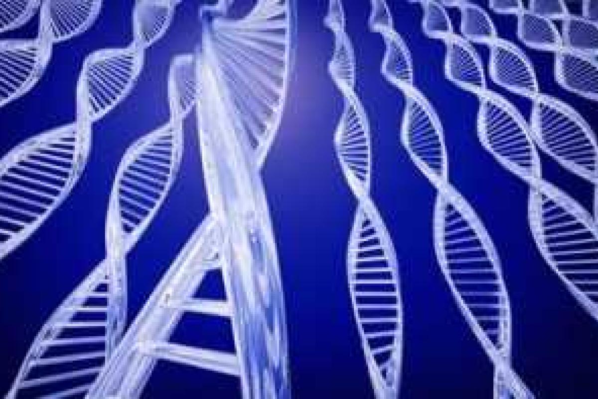 Ученые выявили генные мутации крови, которые приводят к заболеванию раком Ученые выявили генные мутации крови, которые приводят к заболеванию раком