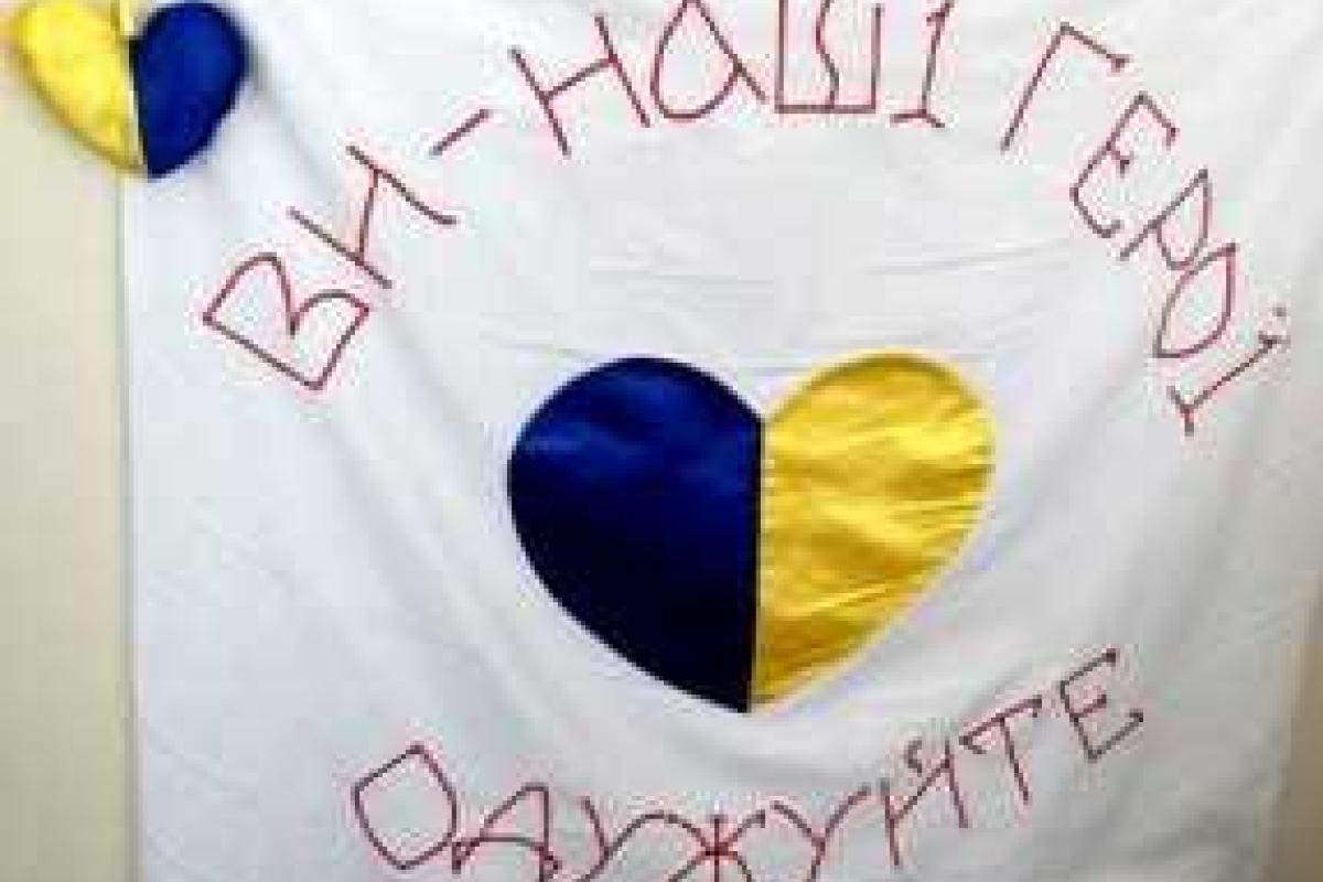 Томенко: надо передать элитные медучреждения для лечения ветеранов, чернобыльцев, афганцев и участников АТО