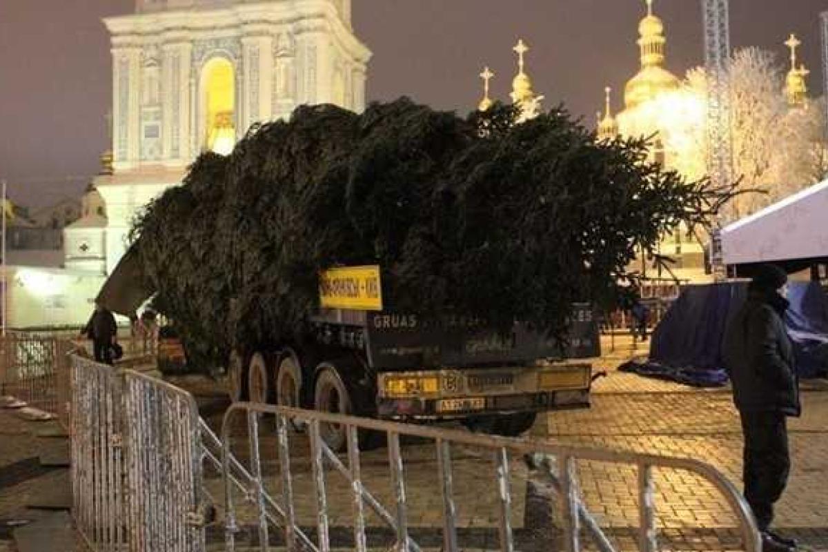 Главная Новогодняя елка страны после праздников будет распилена для аукциона Главная Новогодняя елка страны после праздников будет распилена для аукциона