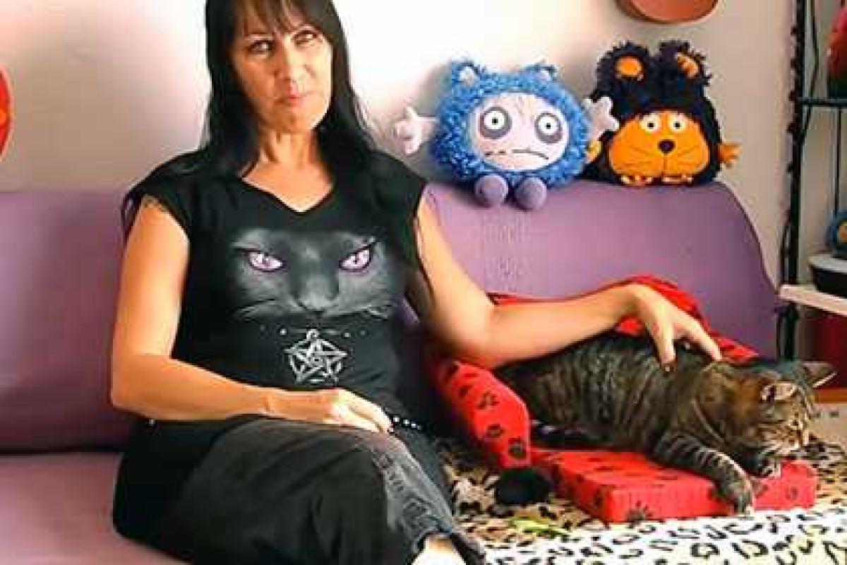 Британка получила сертификат, подтверждающий ее отношения с котами Британка получила сертификат, подтверждающий ее отношения с котами