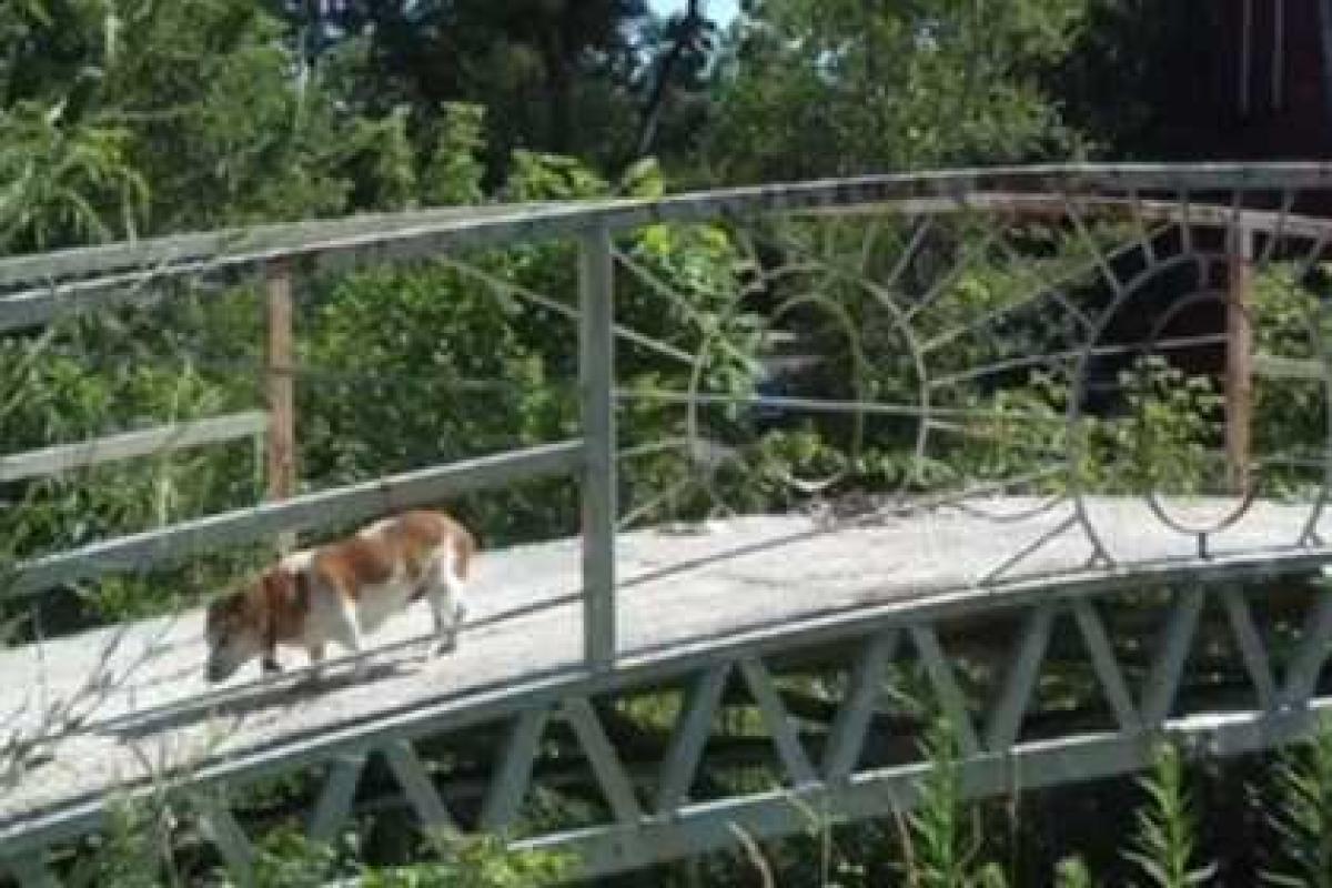 В штате Мичиган умыкнули мост весом 2,5 тонны В штате Мичиган умыкнули мост весом 2,5 тонны