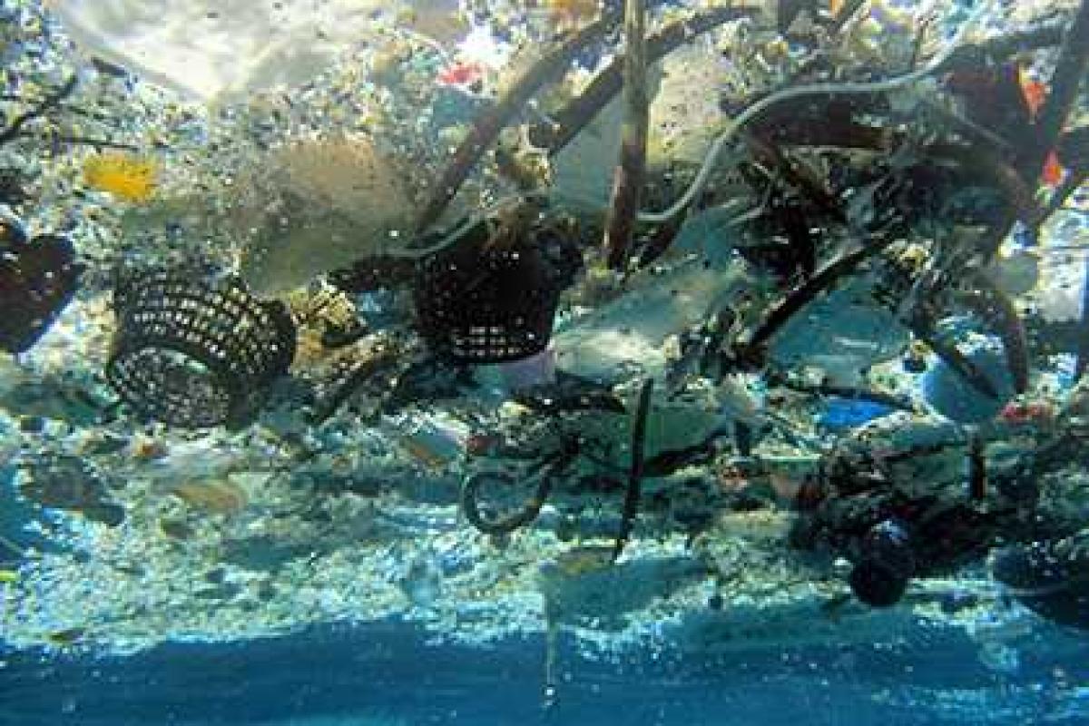 Ученые: в мировом океане находится как минимум 5,25 триллиона частиц пластмассы Ученые: в мировом океане находится как минимум 5,25 триллиона частиц пластмассы