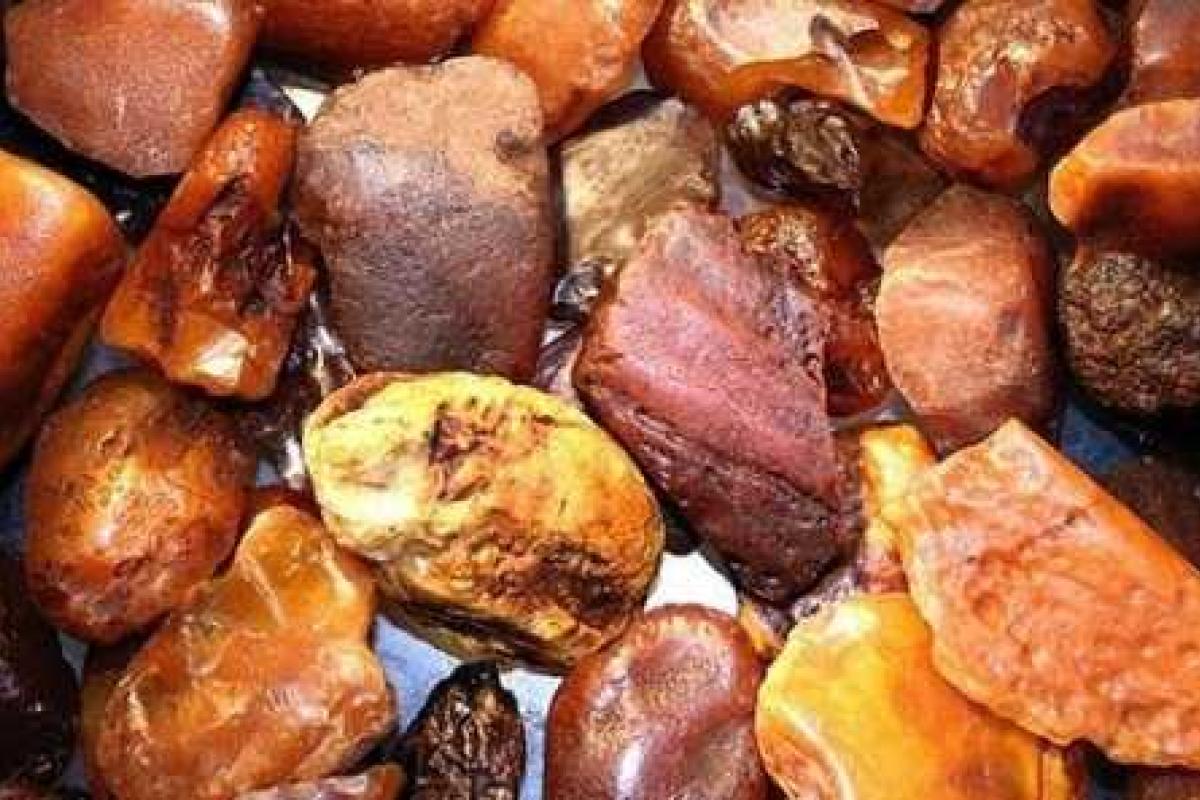 Прокуратура Житомирщины проверяет использование земель по целевому назначению Прокуратура Житомирщины проверяет использование земель по целевому назначению