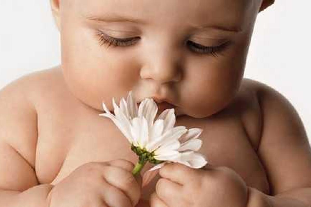 Луганск: в городе осталось 397 детей-сирот и детей, лишенных родительской опеки Луганск: в городе осталось 397 детей-сирот и детей, лишенных родительской опеки