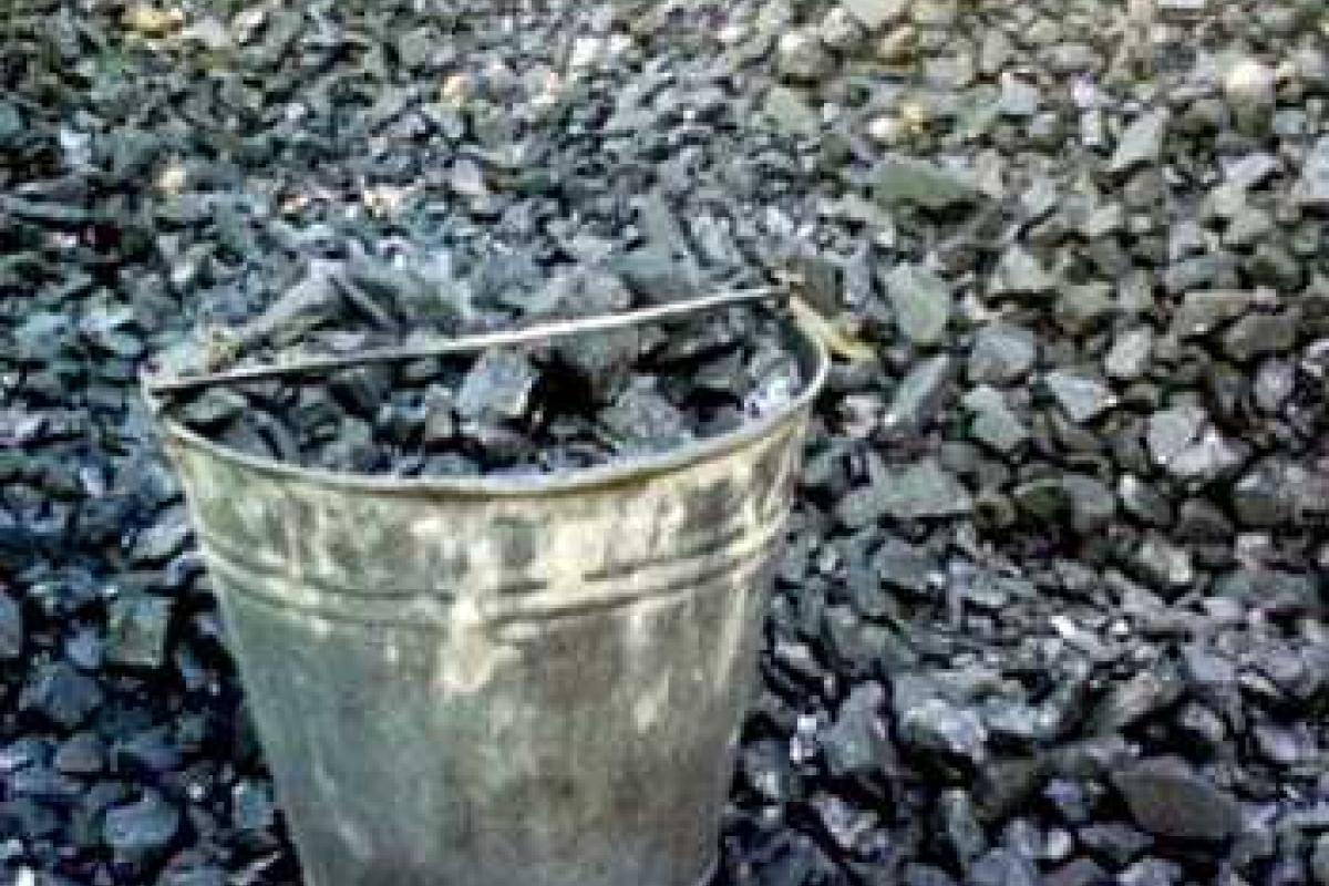 Льготники Донетчины в 2014 году получили уголь на 100 млн грн Льготники Донетчины в 2014 году получили уголь на 100 млн грн