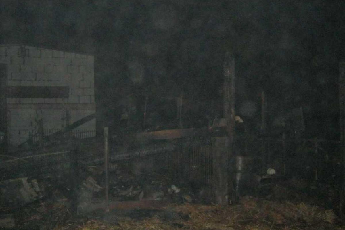 На Винничине во время пожара погибли 69 голов скота, сгорело зерно и солома