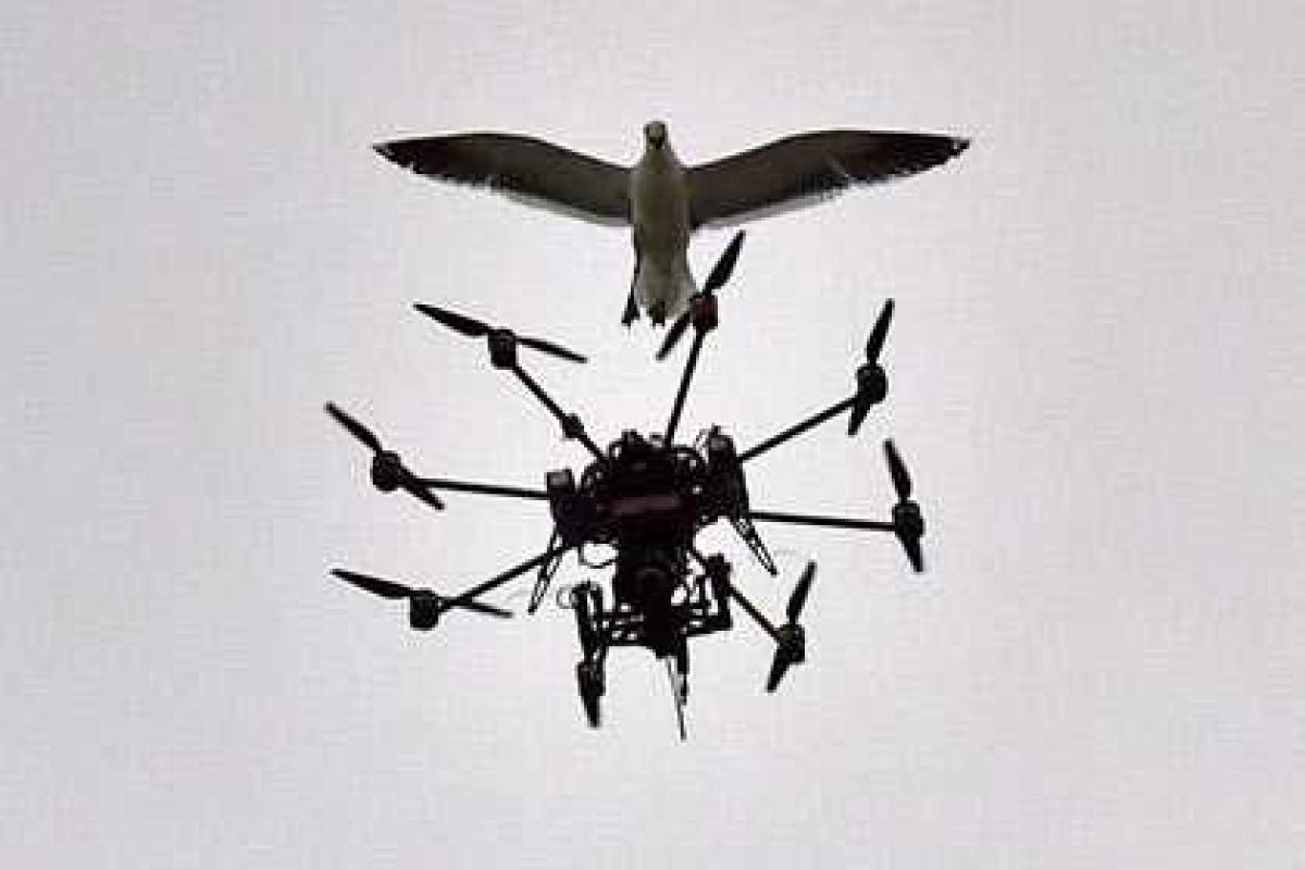 Наркоторговцы потеряли дрон с метамфетамином 