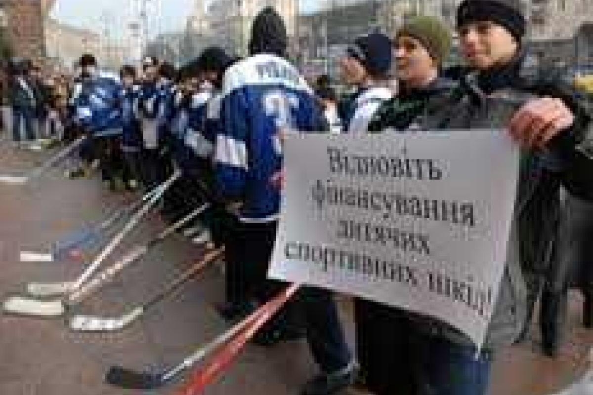 Томенко: Правительство может "уничтожить" детские спортивные школы Украины