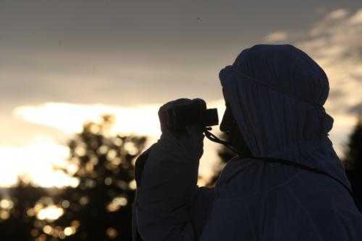 Сириец наладил канал переправки через границу трудовых мигрантов