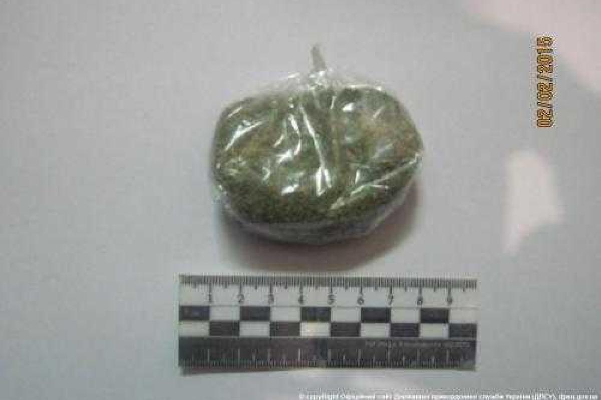 Украинец собрался в Россию с дурман-зельем в кармане