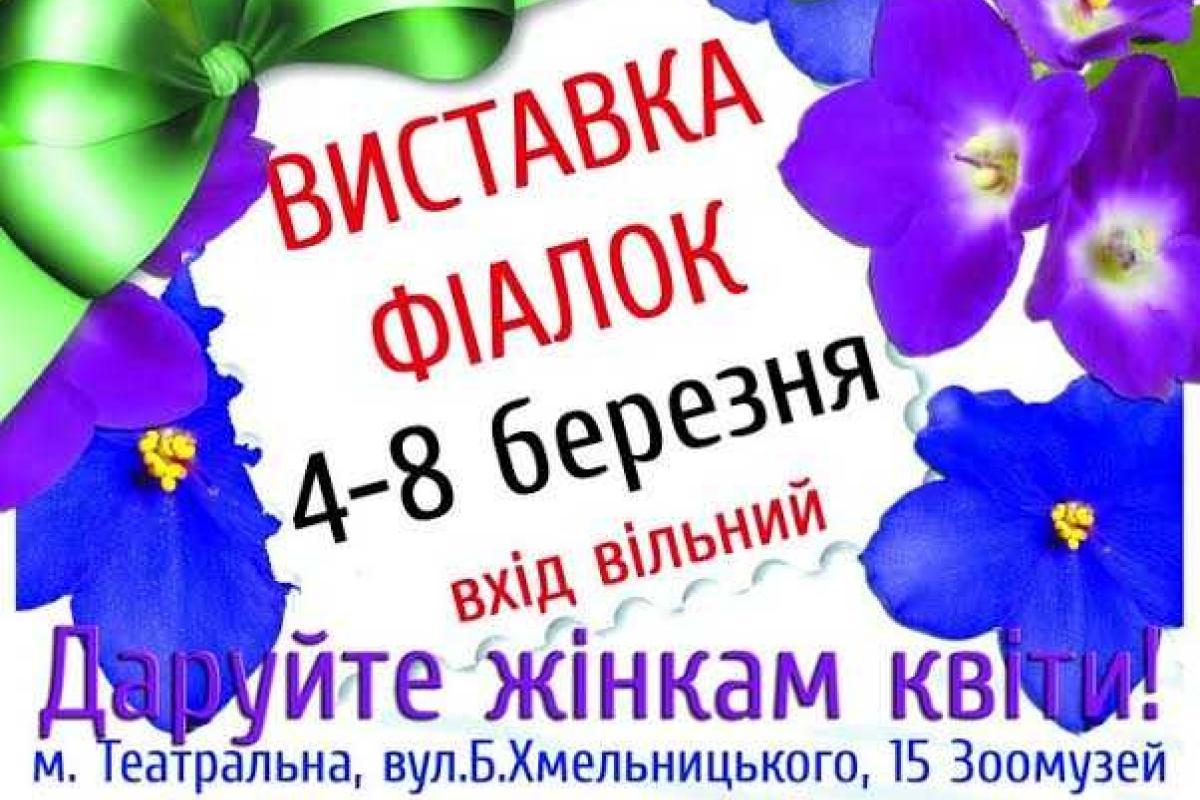 Киев: Любителей прекрасного приглашают на выставку фиалок Киев: Любителей прекрасного приглашают на выставку фиалок