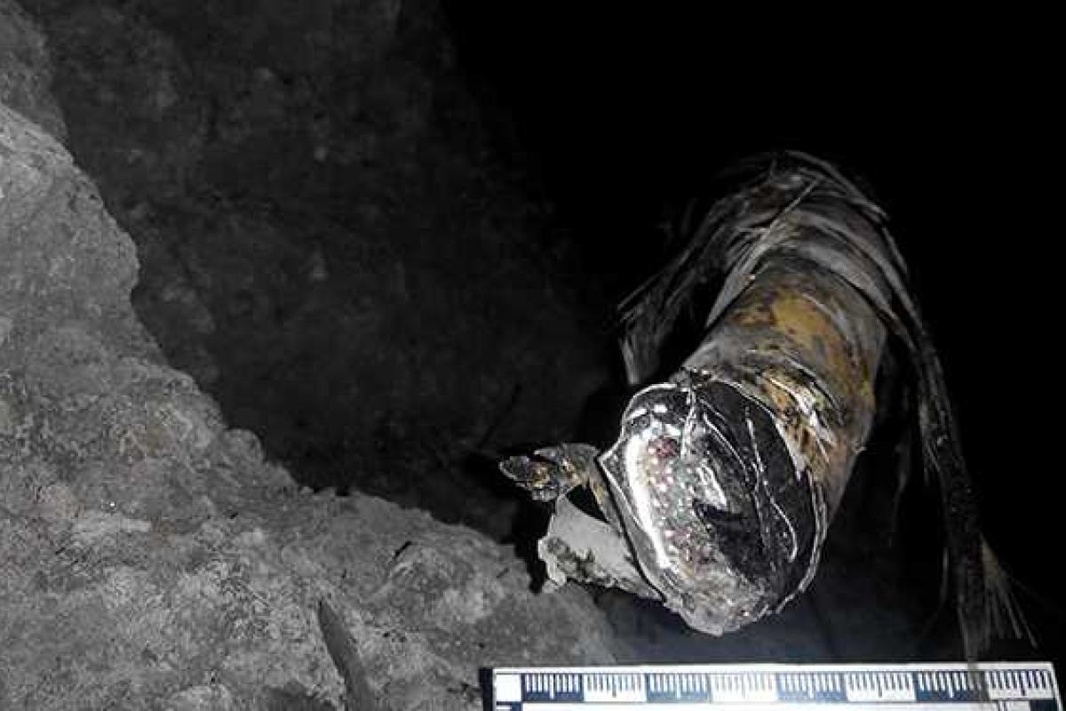 Лом, топор и "отсутствие мозгов" могли привести к крупной аварии на железной дороге Лом, топор и "отсутствие мозгов" могли привести к крупной аварии на железной дороге