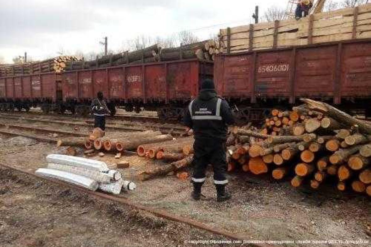 Контрабандисты "нафаршировали" бревна крупной партией табачных изделий
