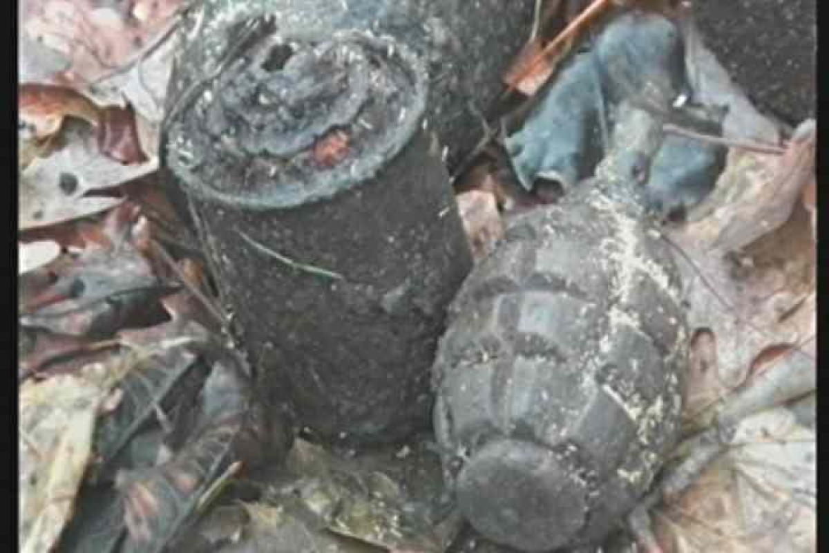 Харьковщина: обезврежены старые боеприпасы времен Второй мировой войны