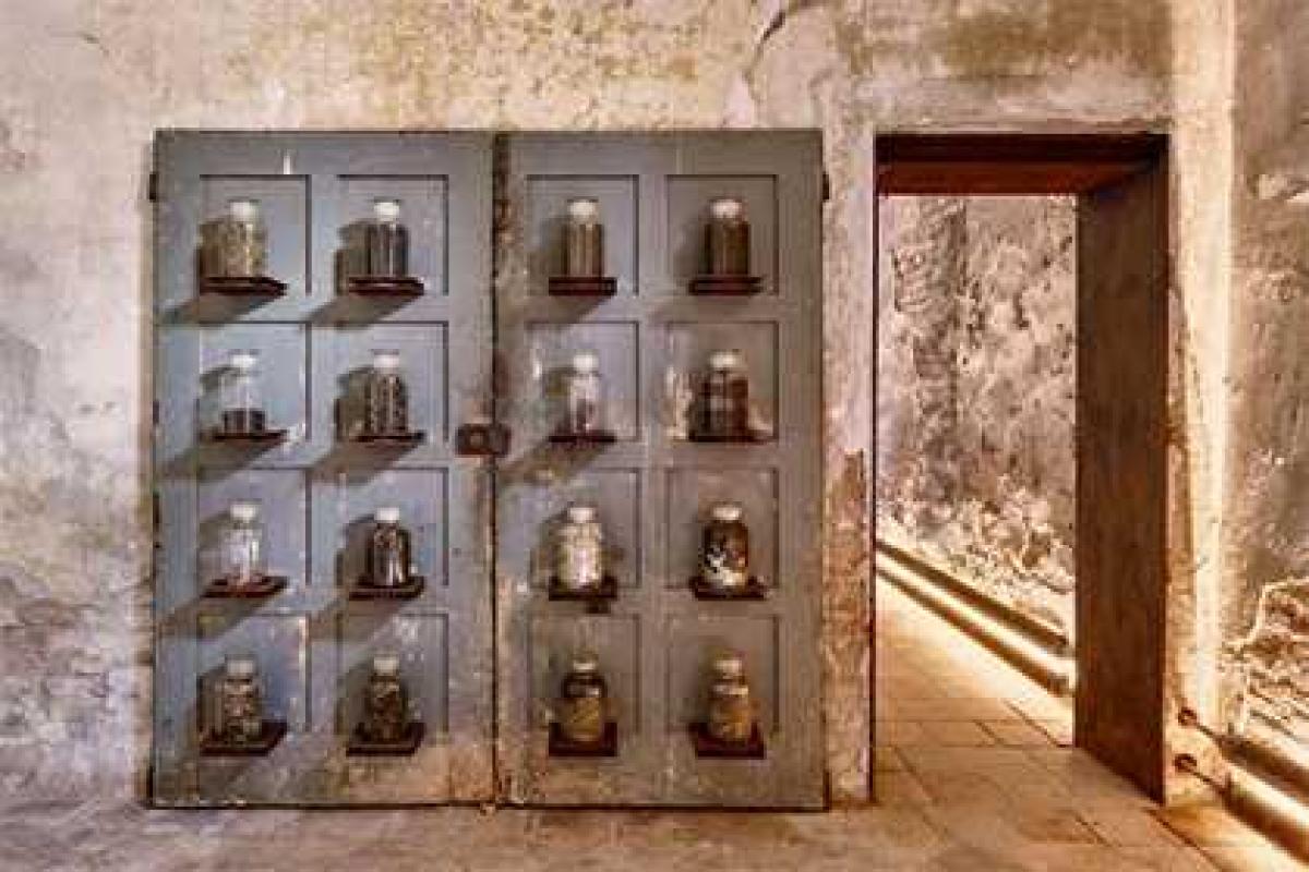 Открылся музей, в котором представлены артефакты и произведения искусства, посвященные экскрементам