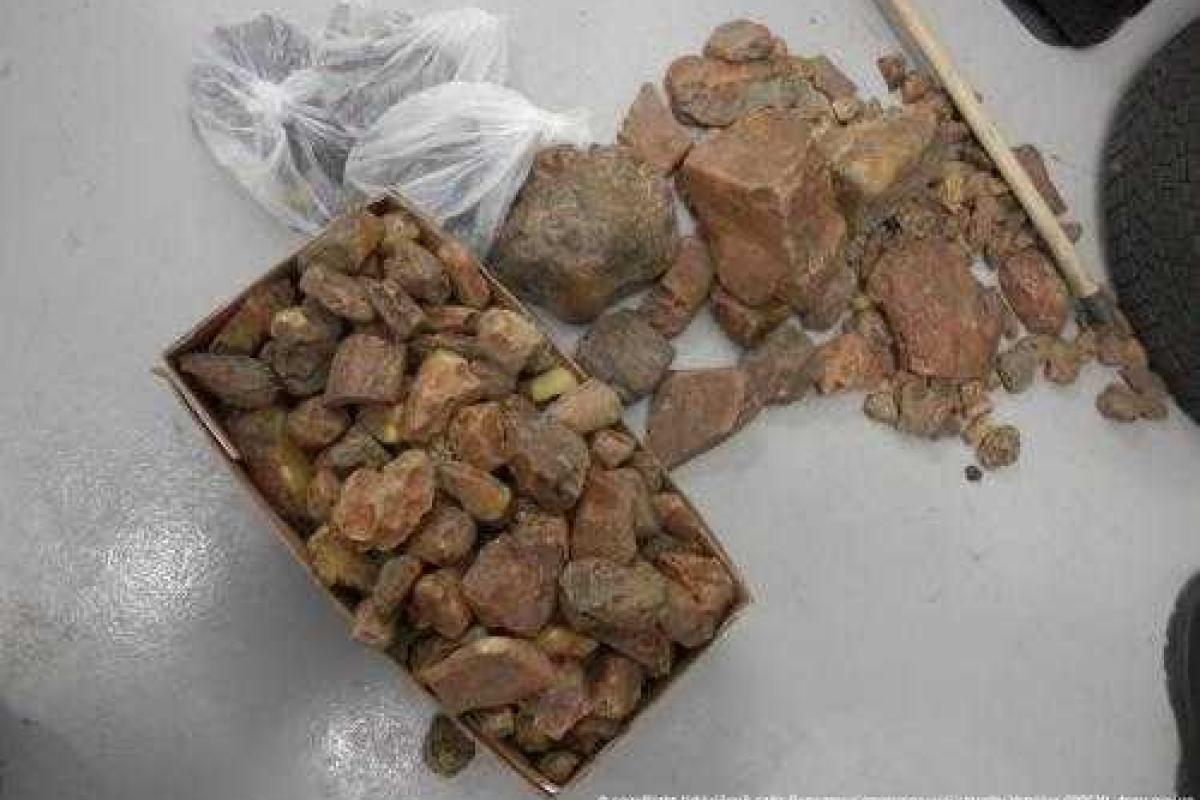 Не прекращаются попытки вывезти за рубеж большие партии украинского янтаря Не прекращаются попытки вывезти за рубеж большие партии украинского янтаря