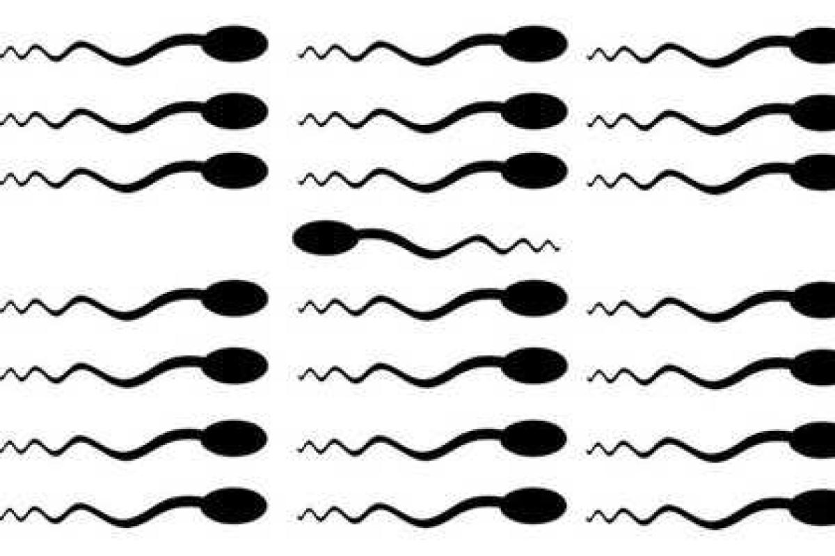 Французские ученые в 2017 году обещают родить ребенка от страдающего бесплодием мужчины