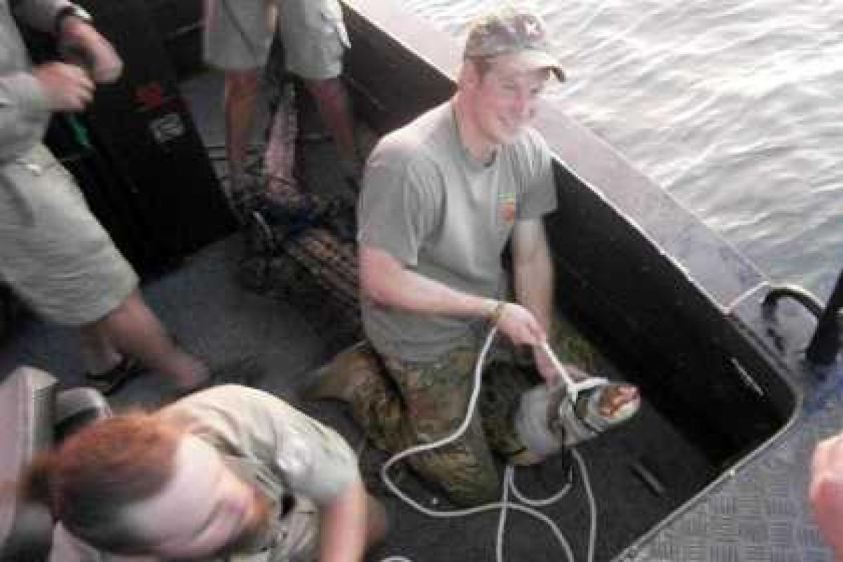 Внук королевы Великобритании занялся ловлей крокодилов Внук королевы Великобритании занялся ловлей крокодилов