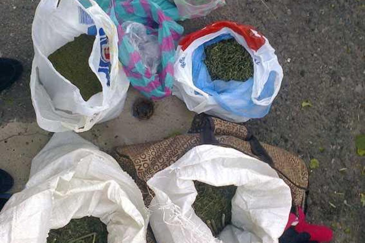 На Донетчине правоохранители изъяли крупную партию наркотического вещества