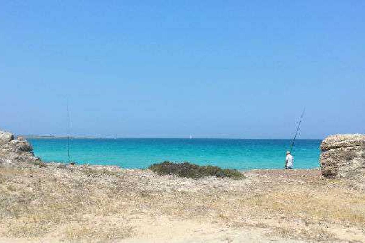 ЧП в проливе Дарданеллы: танкер с грузом столкнулся с круизным лайнером