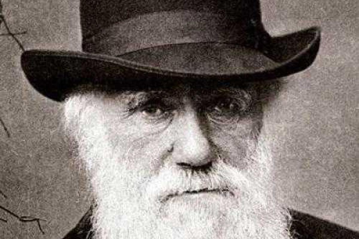 Фильм о Дарвине планирует снять компания Disney Фильм о Дарвине планирует снять компания Disney