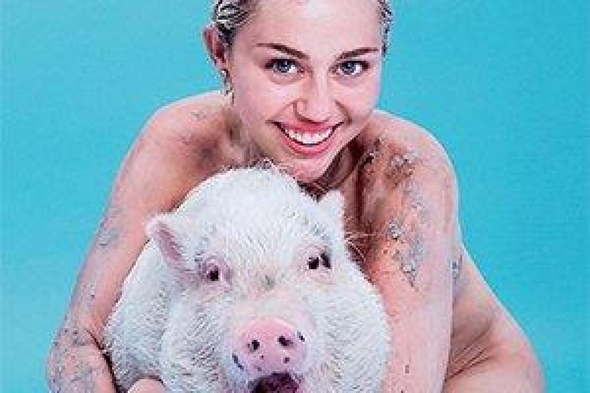 Майли Сайрус получила "титул" самой сексуальной вегетарианки в мире Майли Сайрус получила "титул" самой сексуальной вегетарианки в мире