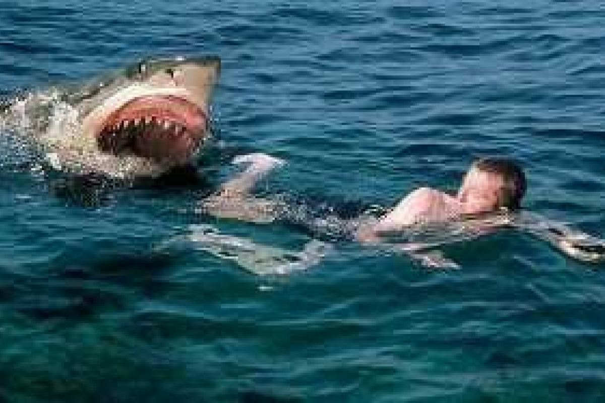 В Северной Каролине акулы за один день сделали 2-х подростков инвалидами В Северной Каролине акулы за один день сделали 2-х подростков инвалидами