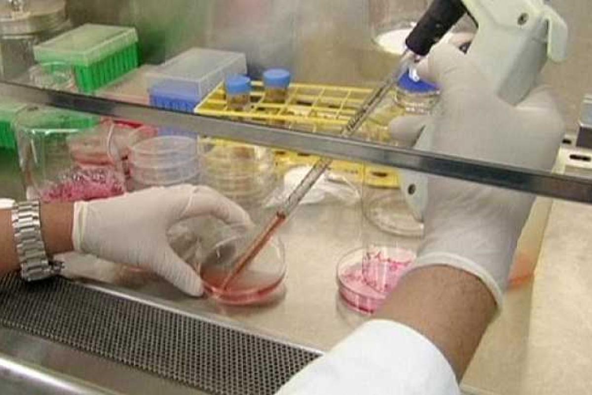 Смертоносный коронавирус MERS продолжает расползаться среди жителей Южной Кореи