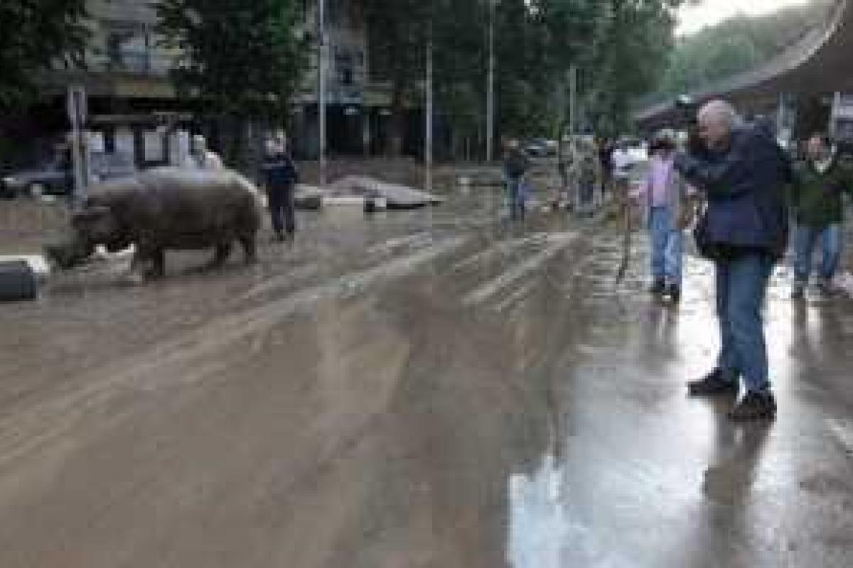 На улицы Тбилиси вышел "на охоту" грузинский спецназ На улицы Тбилиси вышел "на охоту" грузинский спецназ