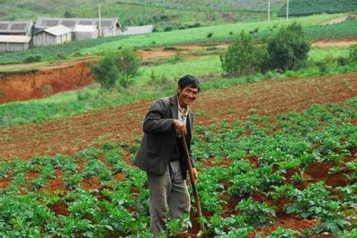 Китайцы тихо "завоевывают" Россию - СМИ Китайцы тихо "завоевывают" Россию - СМИ