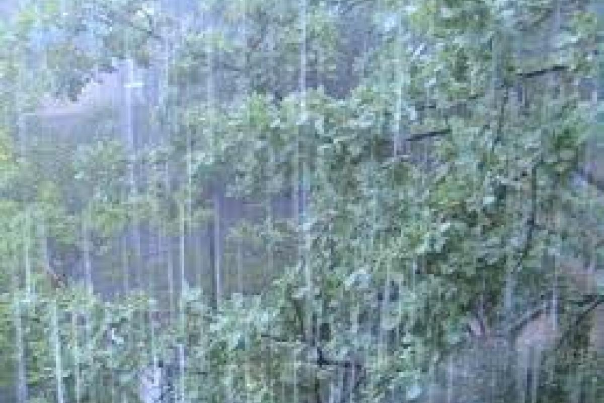 Сильный ливень превращает центр Мариуполя в Венецию Сильный ливень превращает центр Мариуполя в Венецию