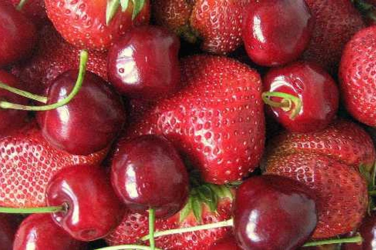 В богатой на фрукты Украине дети "ЛНР" остались без витаминов В богатой на фрукты Украине дети "ЛНР" остались без витаминов