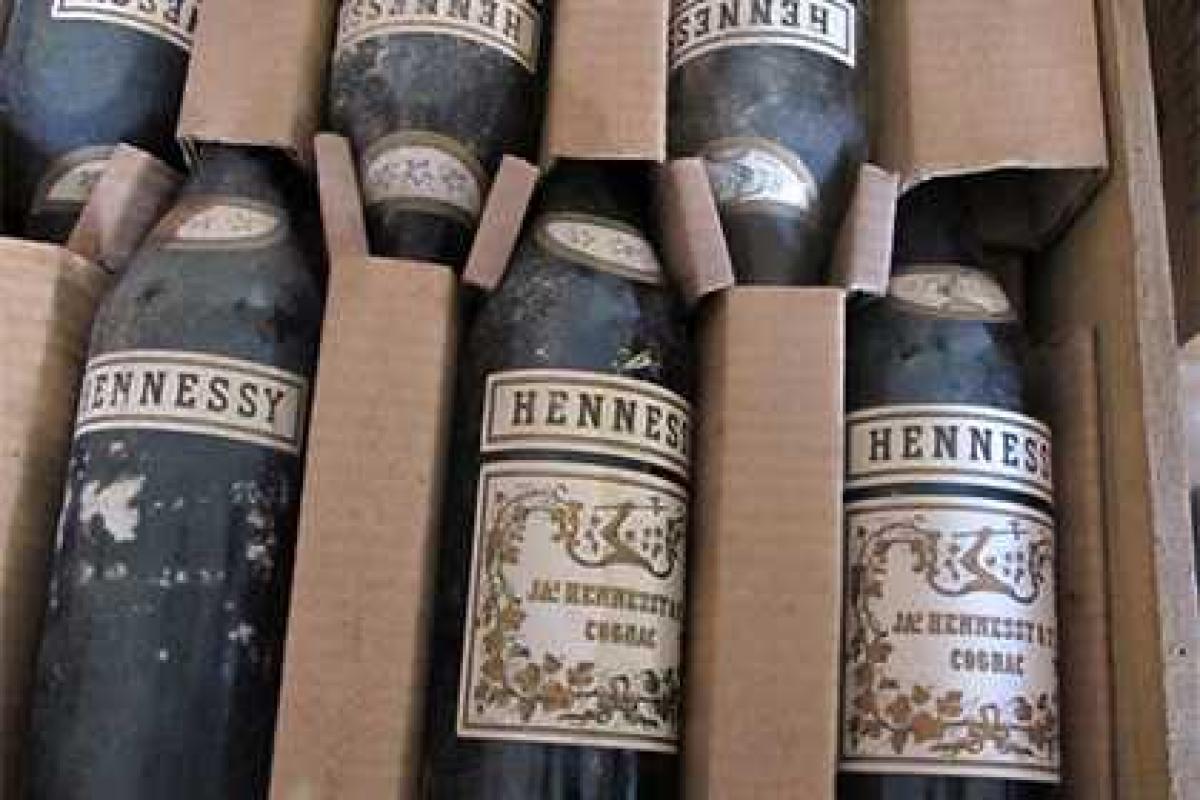 В замке Морицбург обнаружили тайный погреб Гитлера с запасами еды