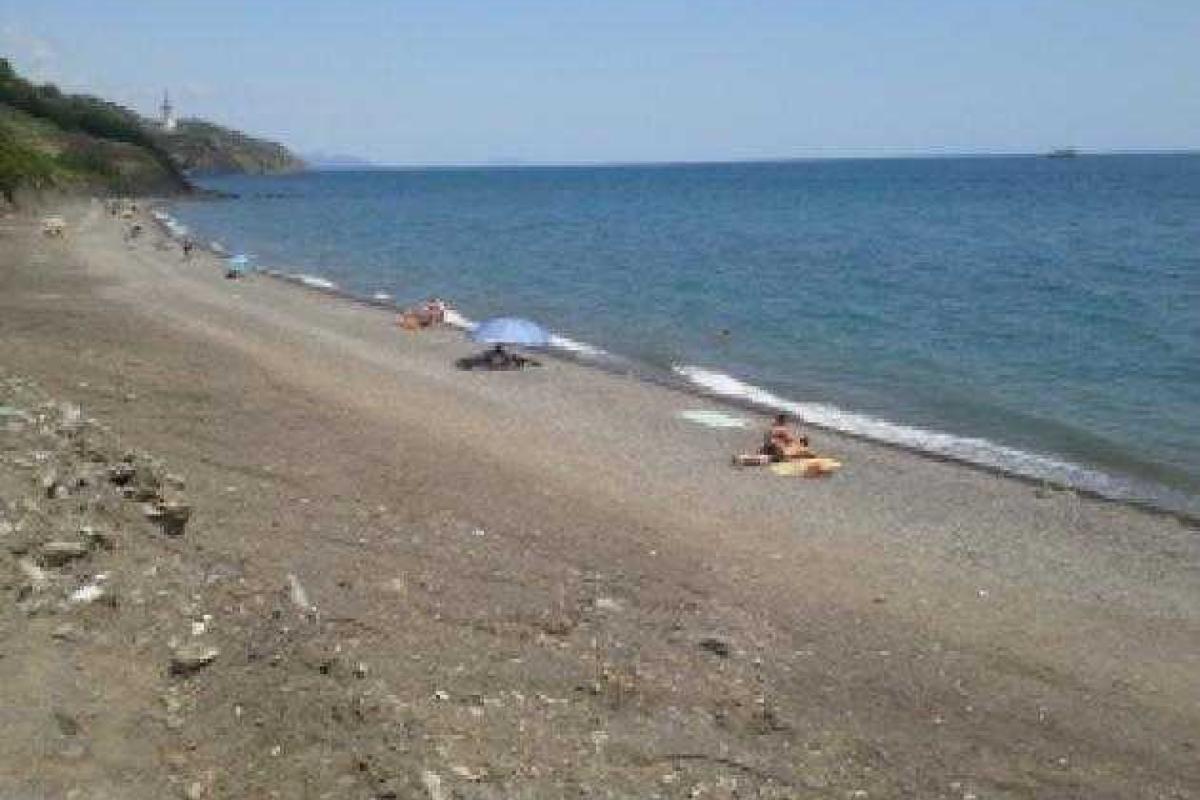 Удручающее зрелище: Сезон вымирания в Крыму Удручающее зрелище: Сезон вымирания в Крыму