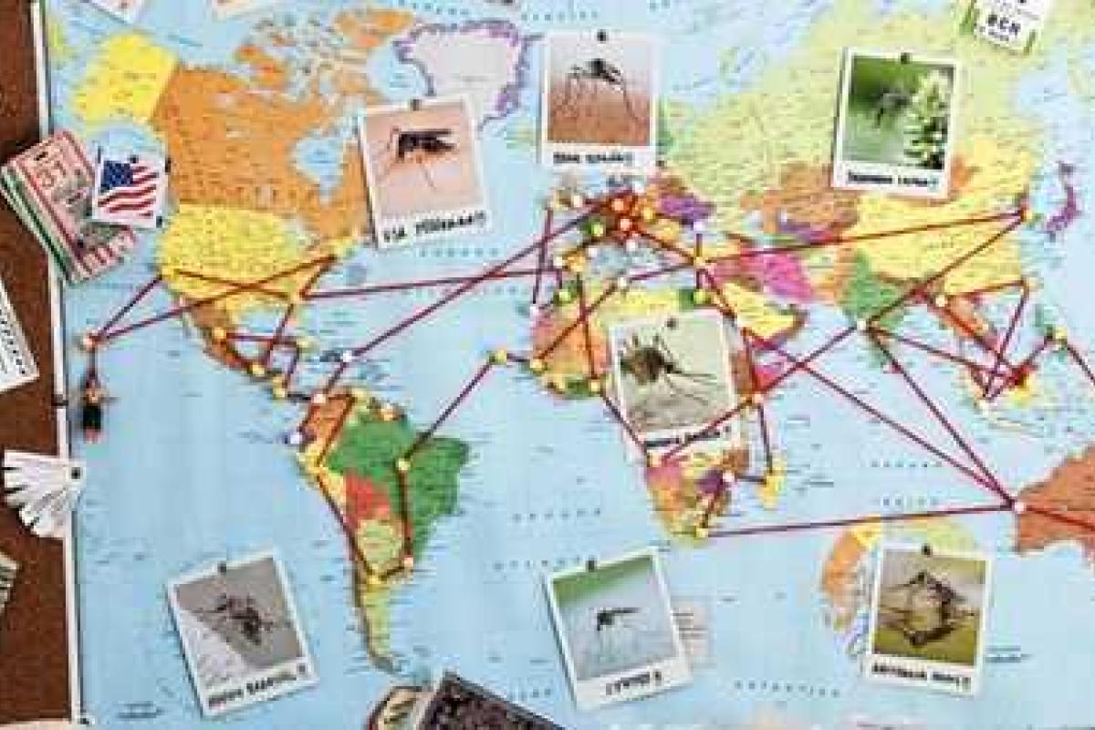 Владелец сети турагентств "Горячие туры" смылся с деньгами клиентов Владелец сети турагентств "Горячие туры" смылся с деньгами клиентов