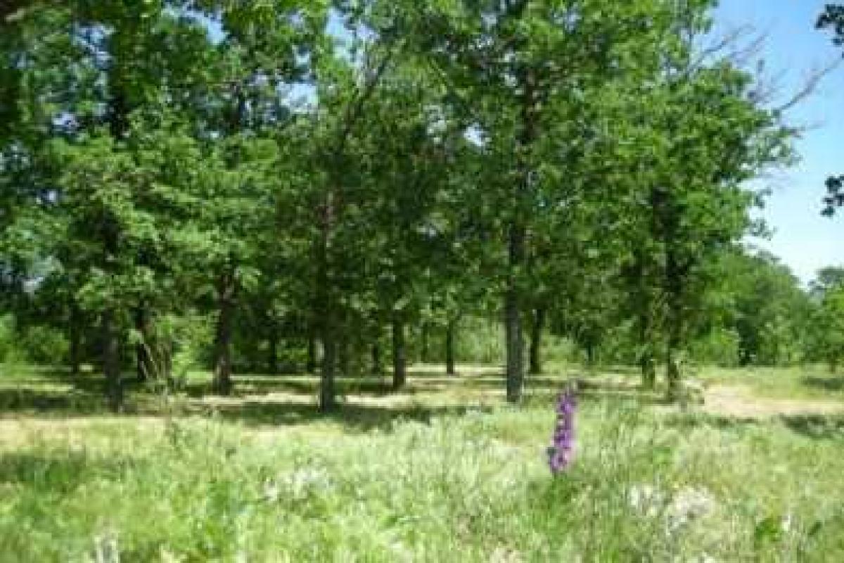 Пикники в приазовских лесах придется отложить до "особого распоряжения" Пикники в приазовских лесах придется отложить до "особого распоряжения"