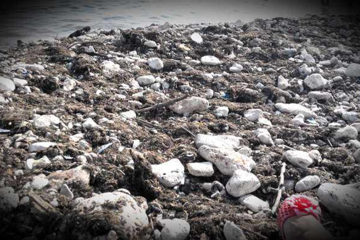 Соцсети Севастополя: Все было, но такого... Был город, а стало болото!!! Соцсети Севастополя: Все было, но такого... Был город, а стало болото!!!