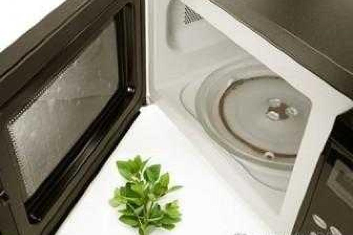 Это интересно: 14 неожиданных способов использования микроволновки Это интересно: 14 неожиданных способов использования микроволновки