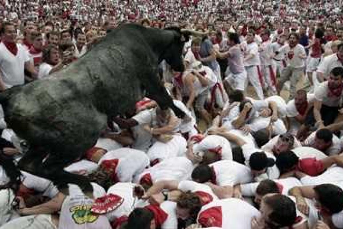 В Испании во время забегов быков погибло еще 4 человека В Испании во время забегов быков погибло еще 4 человека