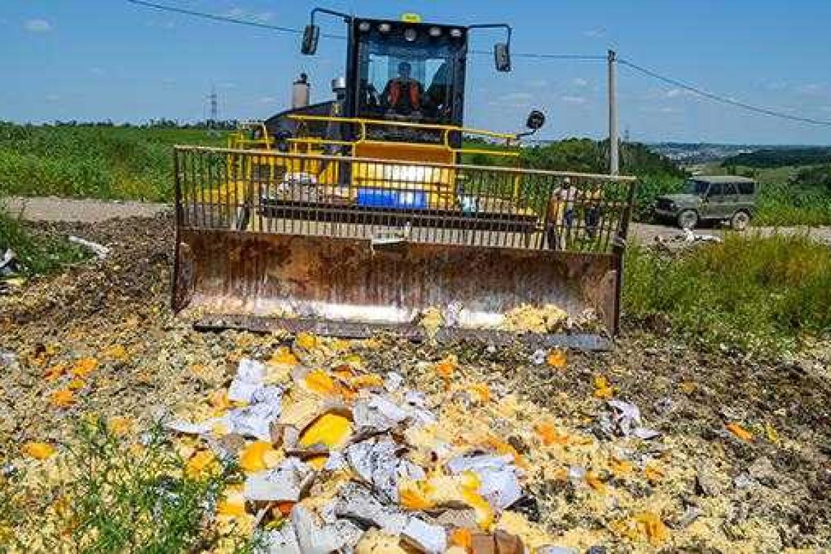 Экс-мэр Москвы: санкционные продукты можно перерабатывать в электричество Экс-мэр Москвы: санкционные продукты можно перерабатывать в электричество