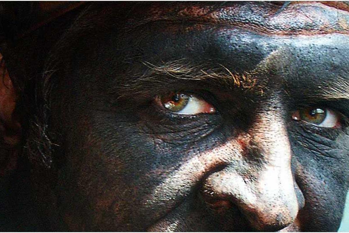 С праздником, шахтеры: боевики "ЛНР" закрывают шахты на оккупированных территориях