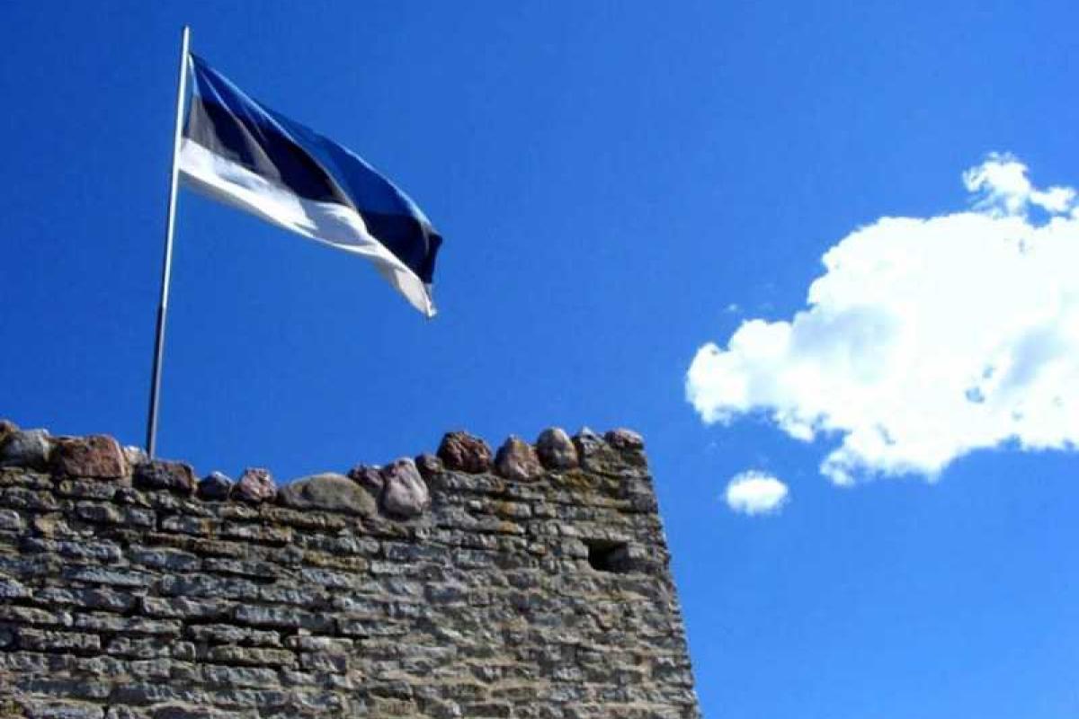 В России искренне удивляются, для чего Эстония пытается отгородиться от РФ стеной