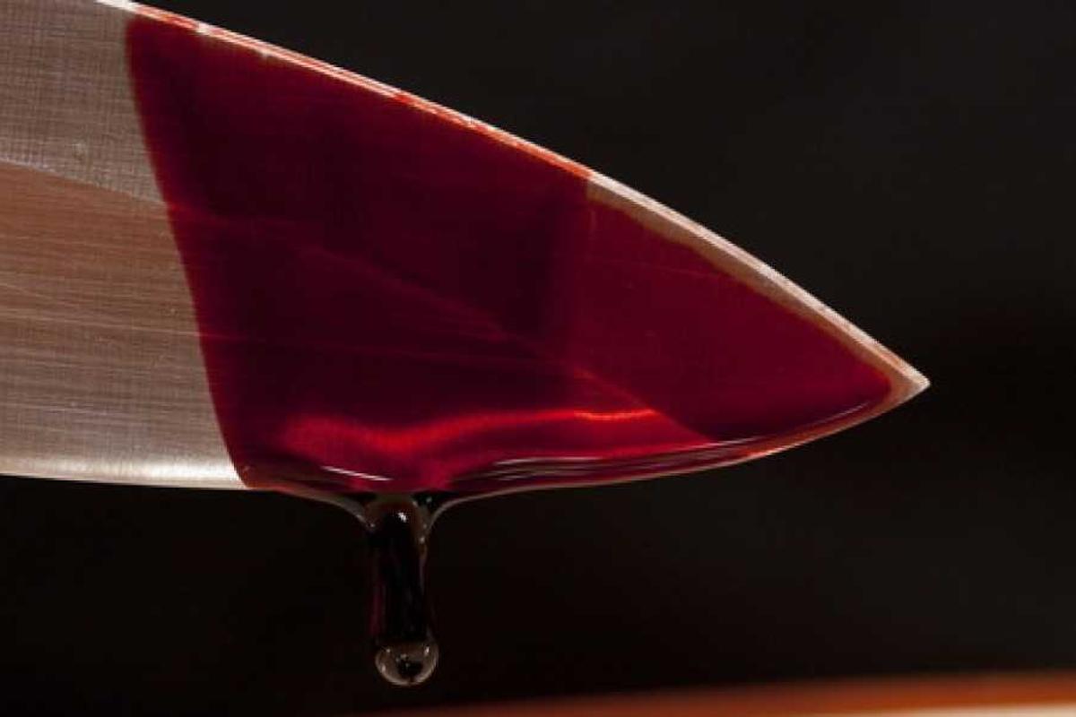 На Харьковщине мужчина пустил в ход кухонный нож из-за желания сына жить с девушкой