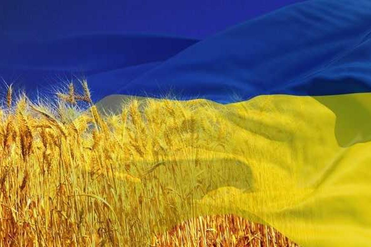 Украина празднует День Государственного флага