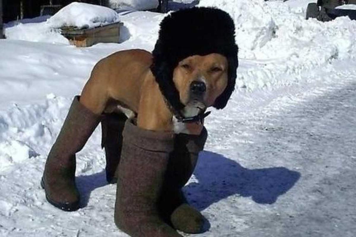 Россиянам зима покажет всю свою суровость по полной программе