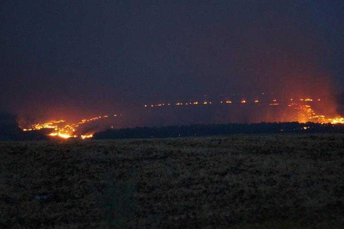 Боевики лупят по украинским позициям, не жалея снарядов, на Луганщине была попытка прорыва ДРГ