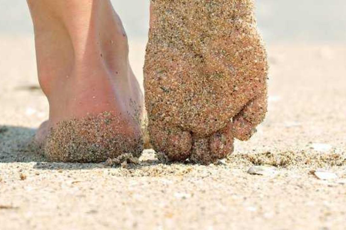 Проведя исследования, ученые смело утверждают, что в песке бактерии размножаются гораздо быстрее, чем в воде